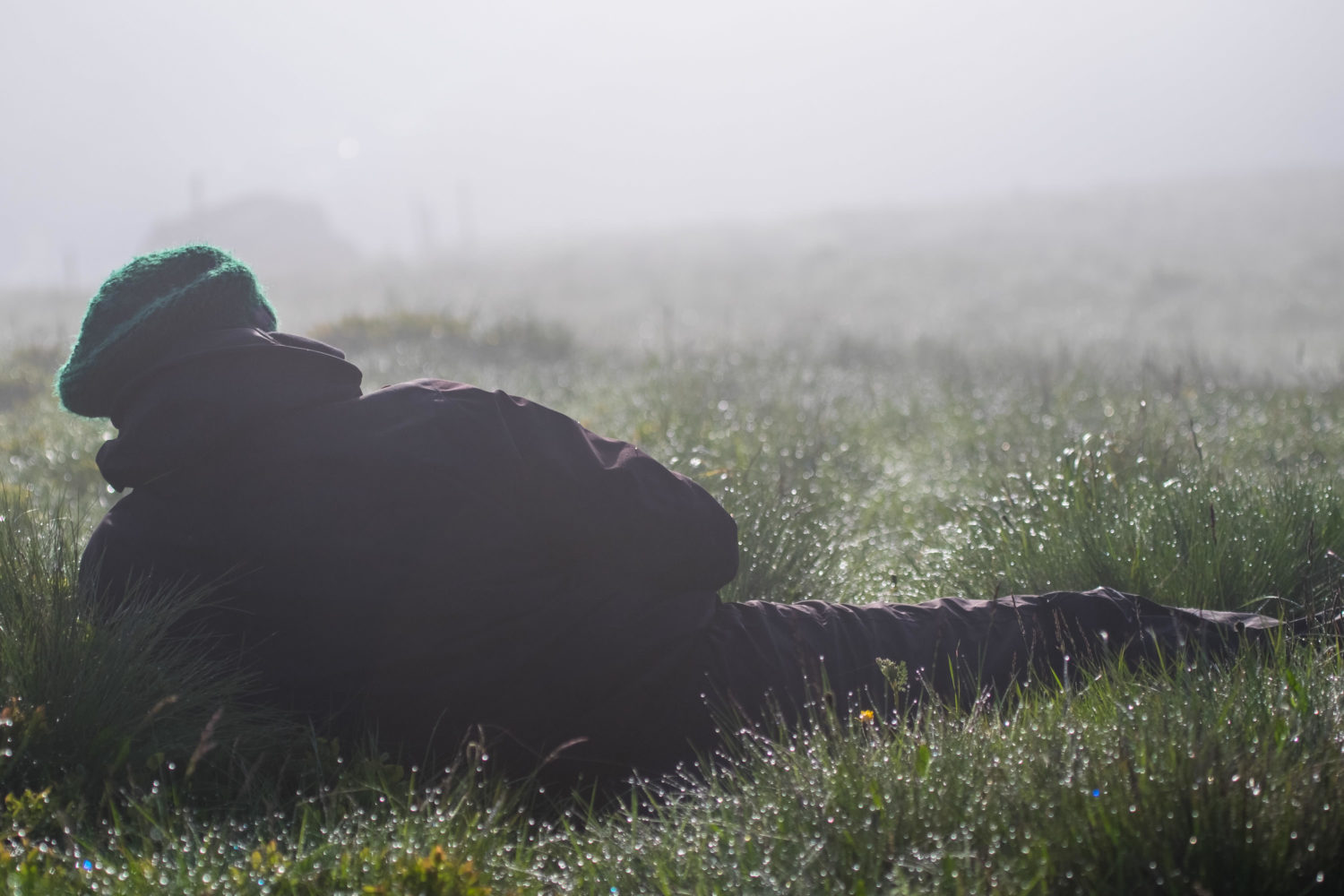 Fotograf liegt im Gras im Morgentau