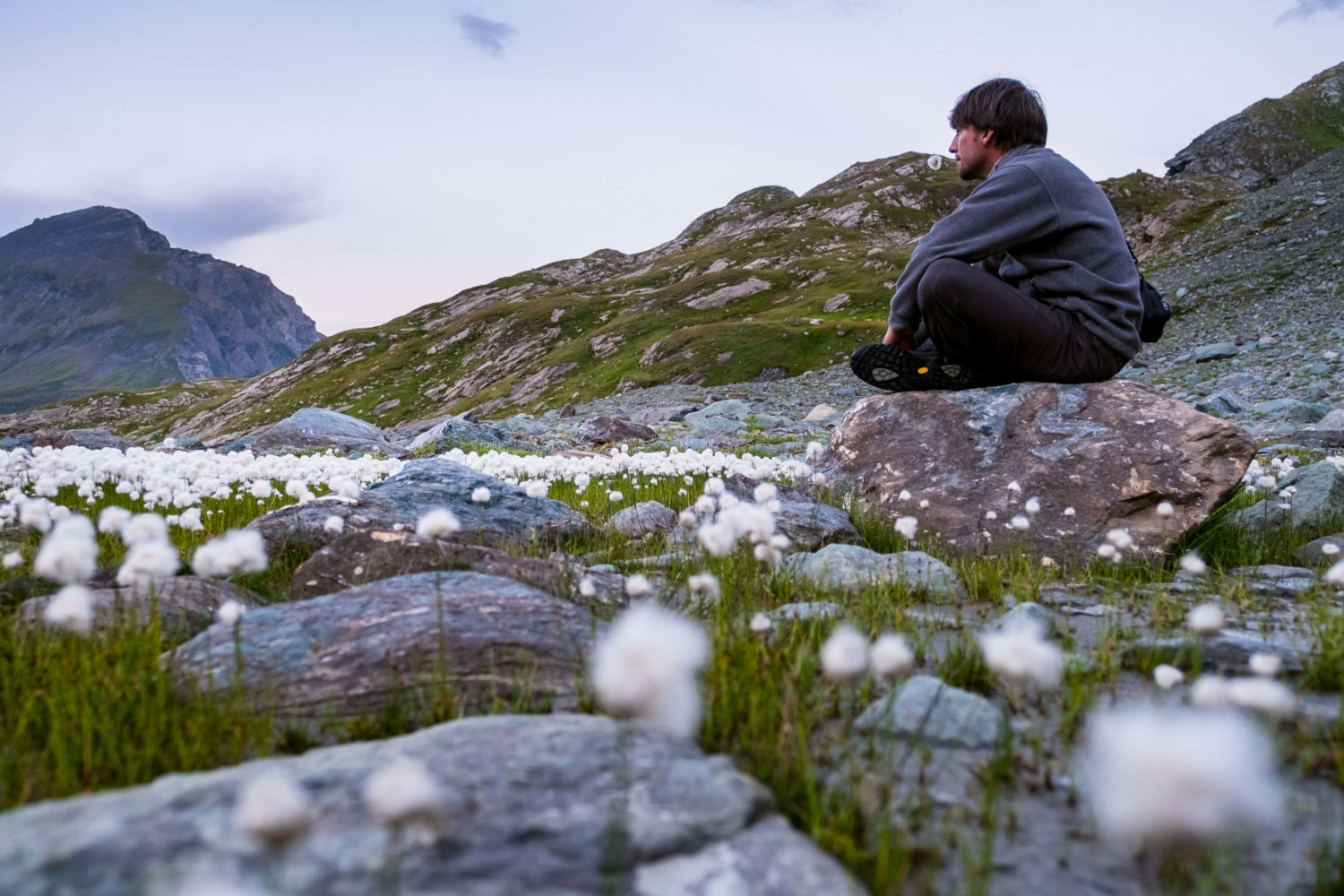 Christopher Püschel sitzt auf einem Stein zwischen Wollgras