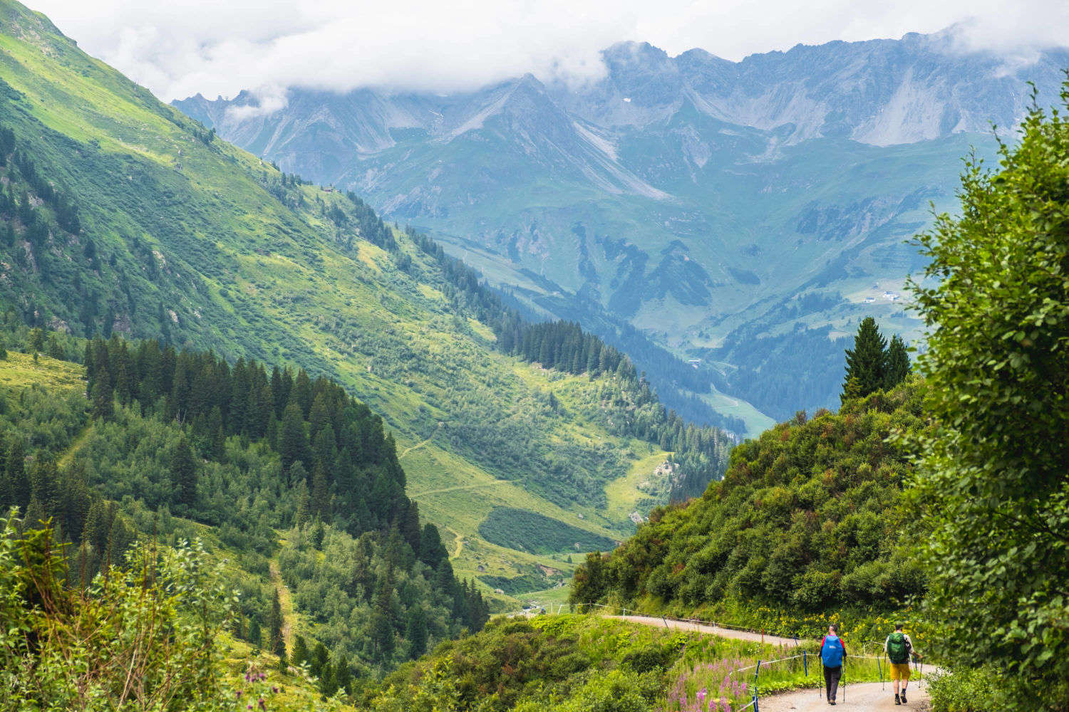 Zwei Wanderer auf einem Weg ins Tal zwischen grünen Berghängen