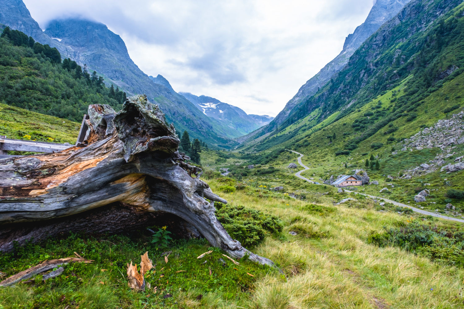 Entwurzelter Baum und Blick in ein Tal mit schroffen Berghängen